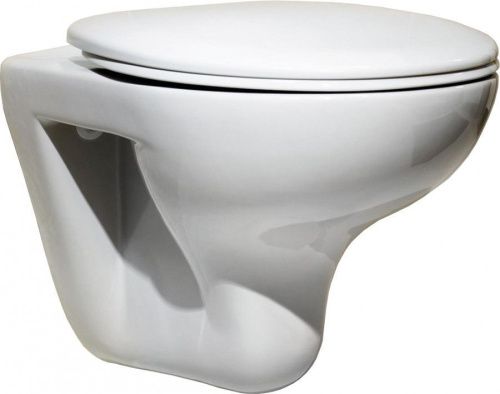 Крышка сиденье для унитаза Roca Mateo ZRU9302815 - фото 2