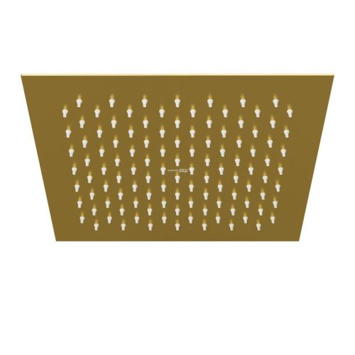 Верхний душ Wasserkraft Aisch 5500 A198 золото - фото 2