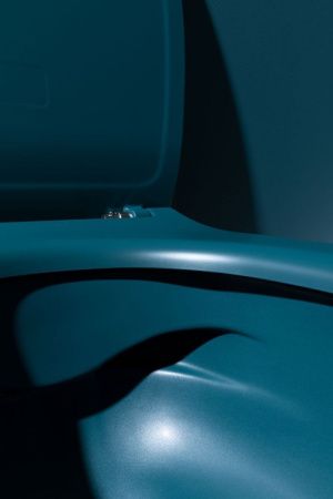 Крышка сиденье Allen Brau Fantasy 4.11005.PT