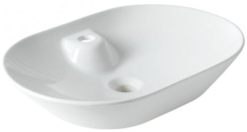 Раковина керамическая Allen Brau Fantasy 4.11020.20 60х40 накладная цвет белый 1 отверстие под смеситель