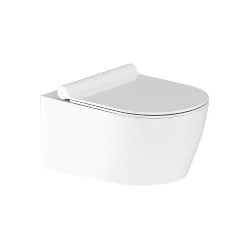 Унитаз подвесной Damixa Jupiter DX77C1700SC белый с сиденьем микролифт безободковый каскадный смыв